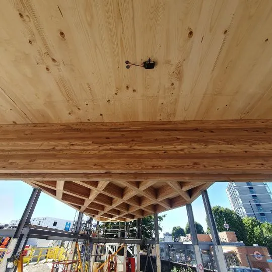 Tector wireless moisture sensor installed on an exposed CLT panel edge during construction
