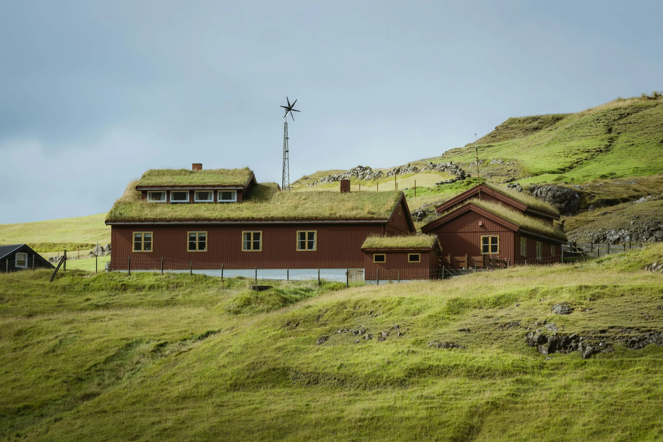 Greenroof biogenic built