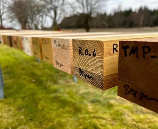 Wood durability research with Tector's moisture sensor technology