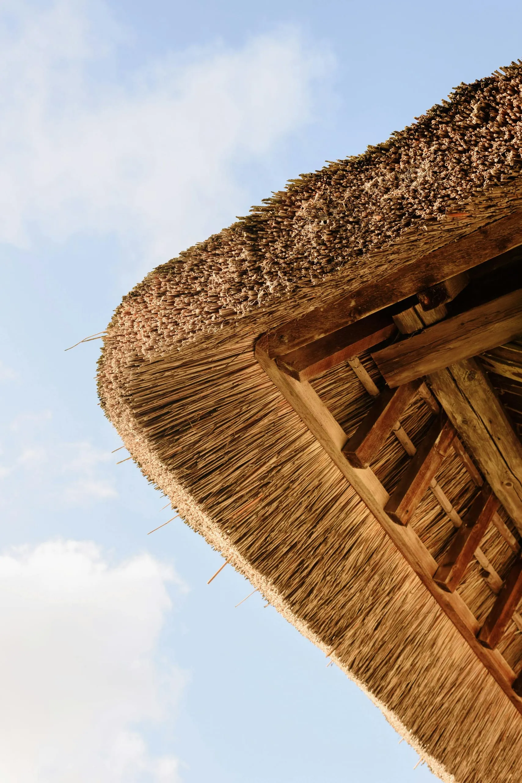 Straw building